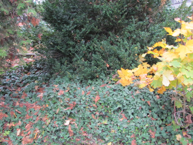 Gustaw Szpajdel 1901 Częstochowa ewangelicki - Grobonet - Wyszukiwarka osób pochowanych